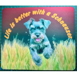 Life Is Better With A Schnauzer Mouse Mat Red and Green Background